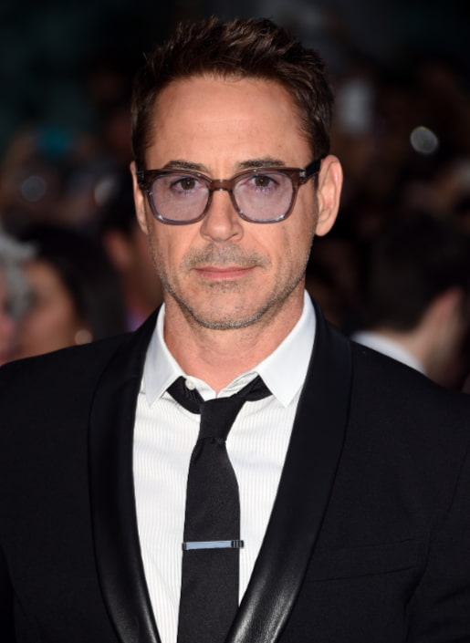 Robert Downey Jr Robert Downey Jr